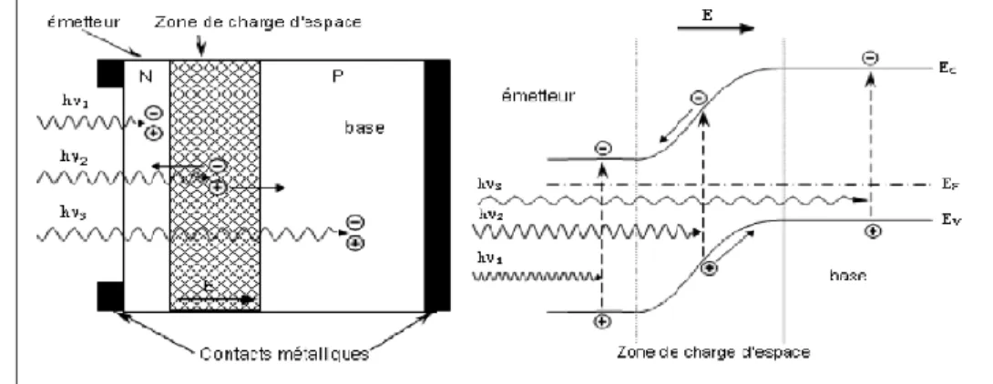 Figure III-1 : schémas du principe de fonctionnement d’une cellule solaire. 