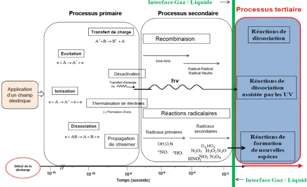 Figure I.10.  Mécanisme de formation des espèces en phase plasma et liquide  [7] .