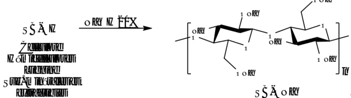Figure 6: Traitement alcalin de la sciure de bois. 