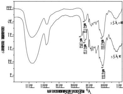 Figure 10 : Spectre IRTF de SB-OH brut et SB-ONa. 
