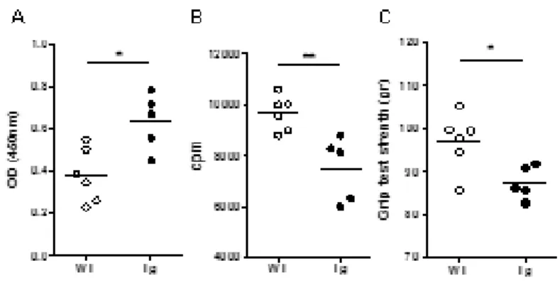 Figure 5: Effects of prolonged Poly(I:C) injections in Tg mice.  C57BL/6 mice were injected (i.p.) with 200µg of Poly(I:C)  or physiological water twice a week for 6 weeks
