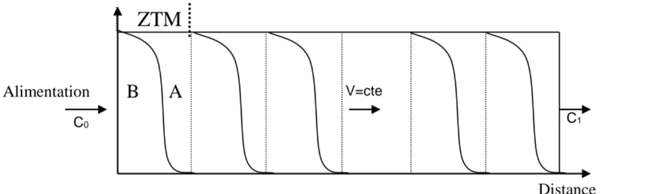 Figure III.3.Evolution de la concentration de l’adsorbat (fluide) au cours de l'adsorption 