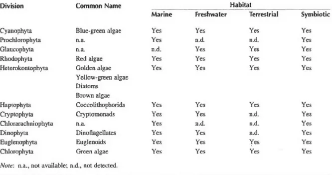 Tableau 1:  Distribution des  différentes  divisions algales  (d'après  Barsanti  et  Gualtieri,  2006)