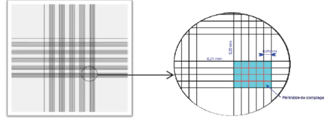 Figure 10. Vue d’une coupe de la gravure d’une cellule de Malassez. 