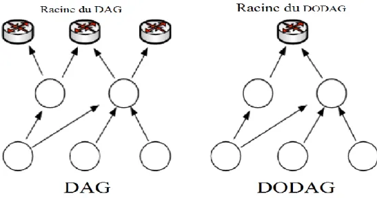 Figure III.1 : les graphes DAG et DODAG. [6] 