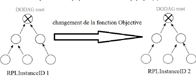 Figure III.2 : deux instances sur un seul DODAG physique. 