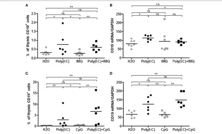 FigUre 2 | Effects of Imiquimod, CpG-C with polyinosinic-polycytidylic acid [Poly(I:C)] on thymic B cells