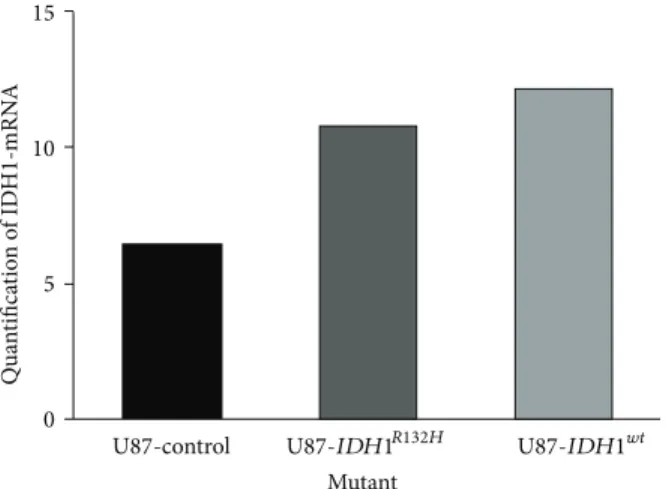 Figure 1: Real time PCR quantified the expression of the IDH1 wt and IDH1 R132H transduced genes.