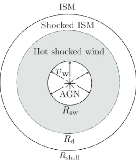 Figure 1. Schematic view of the outflow structure. The accreting IMBH drives the wind with velocity v w 