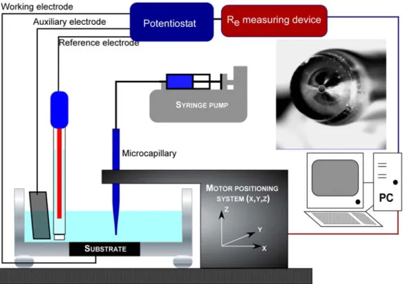 Figure 1. Experimental setup used to generate and sustain the growth of a single pit on a 316  L SS substrate