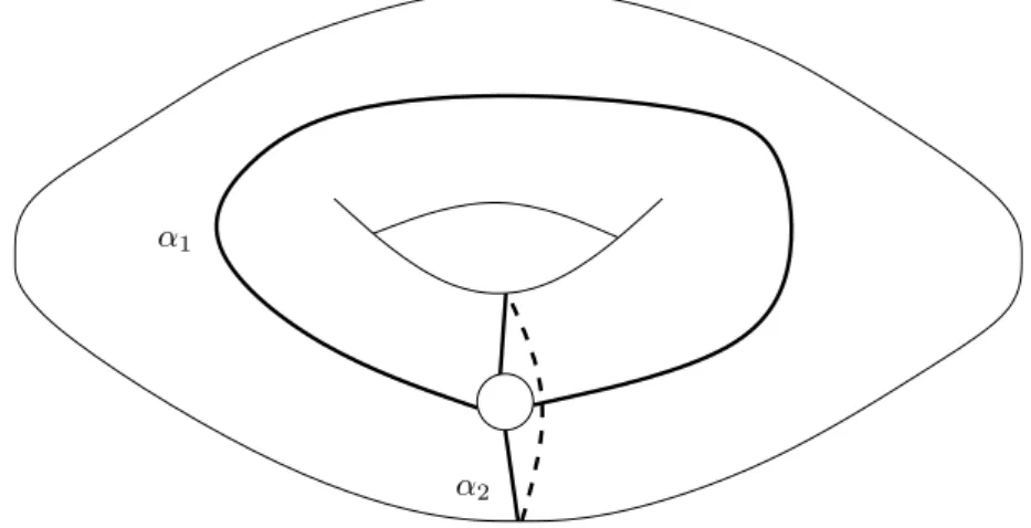 Figure 4). Observe that the cardinality of a maximal family of essential arcs of S is 1 − χ(S).
