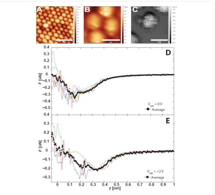 Figure 2: (A) Overview dSTM showing nanocrystal assembly, V gap  = +2 V,   = 20 pA. (B) DFM image acquired in the region shown in A.
