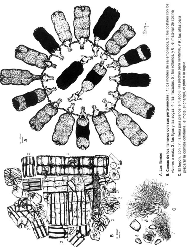 Figura 9. Campamento típico de los llameros en el curso de un viaje de trueque a los valles.