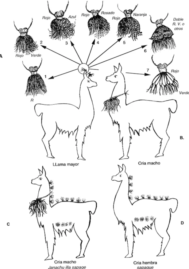 Figura 5. Tipología de los distintos tipos de t’inkas y enfloramientos de las llamas mayores y de las crías (comunidad de Ventilla)