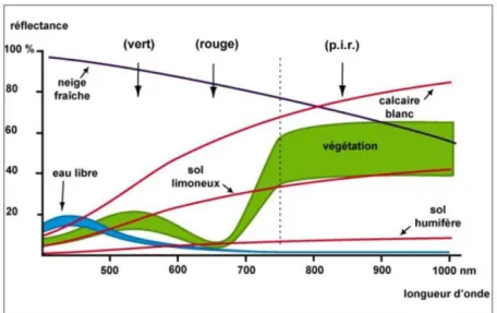 Figure  2-7 Signatures spectrales des objets 