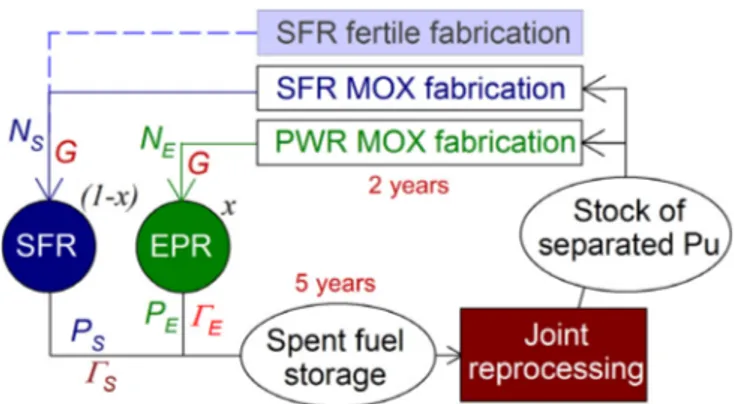 Fig. 4. Fuel cycle of a mixed EPR TM – SFR fleet with joint reprocessing of spent fuels.