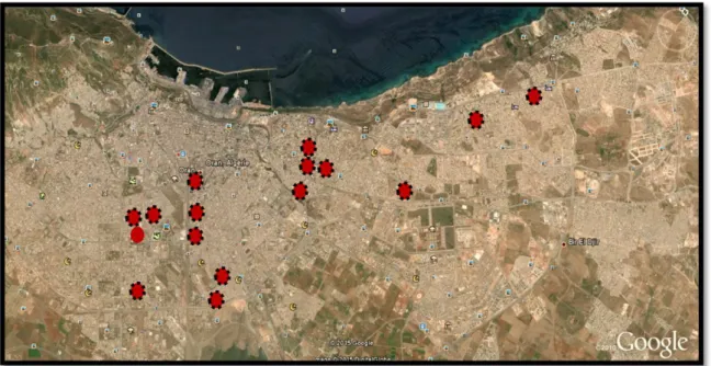 Figure 07: Localisation des fiches Industrielles à Oran  Source : Google maps,2015 