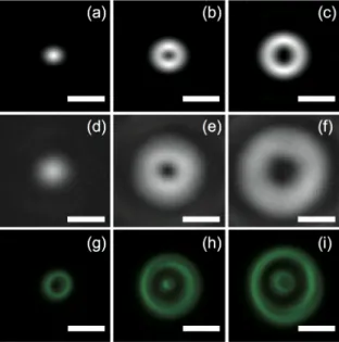 Fig. 2. Simulated intensity distributions, experimentally linearly polarized focused laser beams,  and generated fluorescent patterns using (a, d, g)  LG 0 0 , (b, e, h)  LG l 0 , and (c, f, i)  LG 20  beams,  respectively