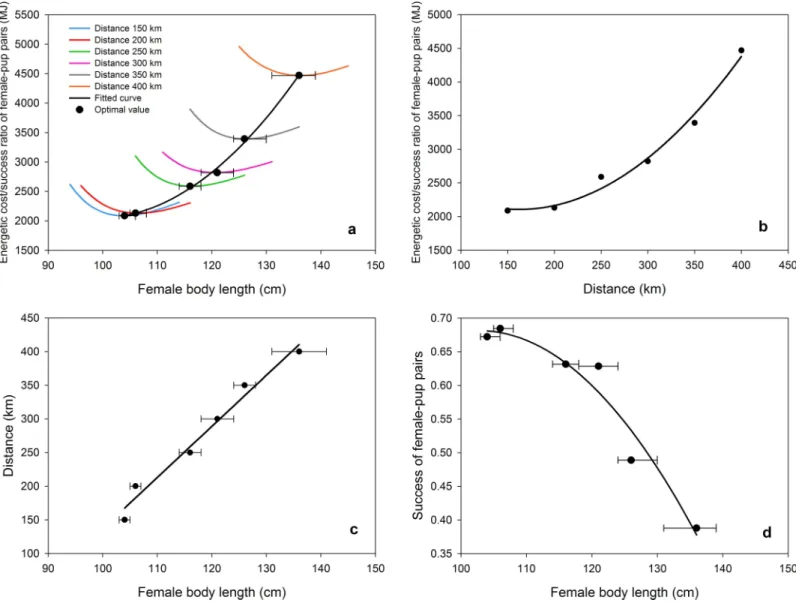 Fig 7. Identifying optimal body length. (a) (Energetic cost) / (success of female-pup pairs) ratio (R = E/SP) as a function of female body length, for increasing distances from colony to the resource areas