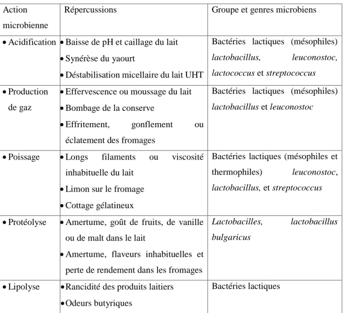 Tableau VIII : Principales activités des bactéries lactiques dans les produits laitiers  (Lamontagne, 2002) 