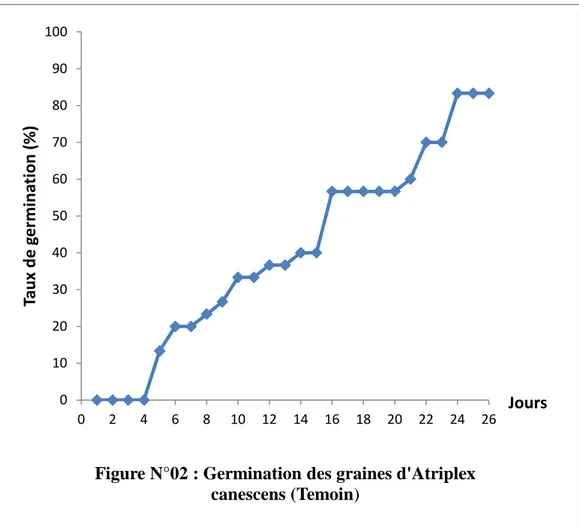 Figure N°02 : Germination des graines d'Atriplex  canescens (Temoin)