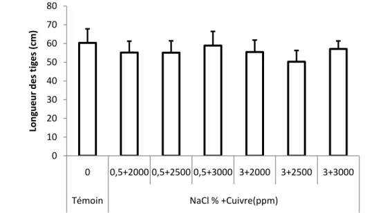 Figure 15. Longueur des tiges  des plantes d’Atriplex canescens stressées au NaCl combiné avec le  cuivre