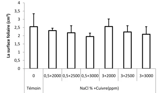 Figure 17. Surface foliaire des plantes d’Atriplex canescens stressées au NaCl combiné avec le cuivre