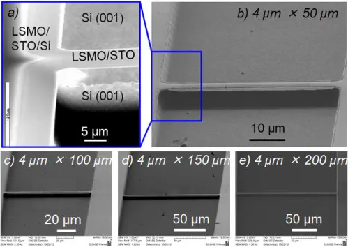 Figure  3:  Scanning  electron  microscope  (SEM)  photographs  of  free  standing  50  nm  thick  LSMO/CTO suspended micro-bridges