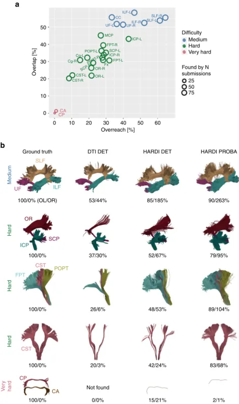 Fig. 3 Tractography identi ﬁ es most of the ground truth bundles, but not their full extent