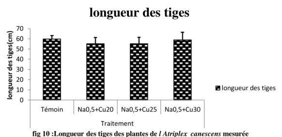 Tableau 09 :  Analyse statistique à l’aide du  test de Fisher (à p = 5%) de   longueur des tiges des  plantes de l’Atriplex canescens (Pursh) Nutt  mesurée après le stress combiné NaCl