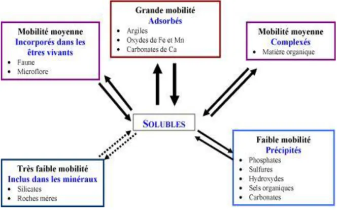 Figure 2 : Différentes formes et localisations des éléments traces dans les sols (Juste et al.,  1995)