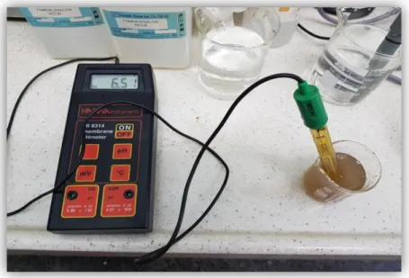Figure 21: Mesure de pH du sol à l’aide de pH mètre de type HANNA instruments  HI8314