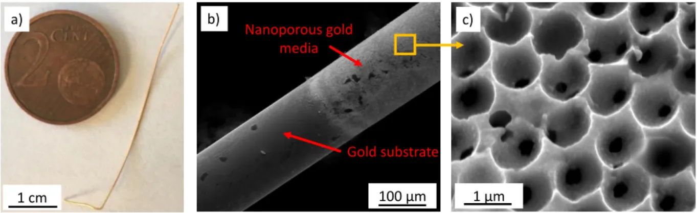 Fig.  1.  (a)  photograph  of  the  gold  electrode,  (b)  SEM  image  (Secondary  Electron,  SE)  showing  the  difference  of  the  microstructure between the substrate and the porous zone, (c) SEM image (SE) of the porous zone