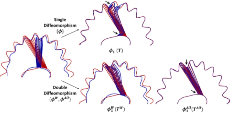 Fig. 4. Registration between a toy-template complex (blue) and a toy-subject complex (red) using either a single or a double diffeomorphism
