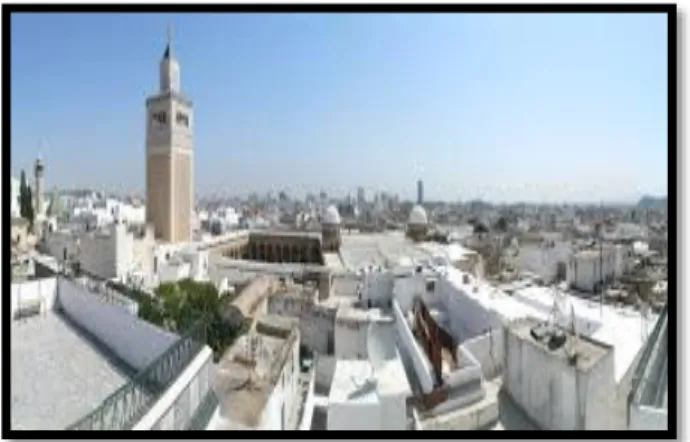 Fig. 20 : Medina de TUNIS 