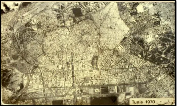 Fig. 21 : La médina en 1970 