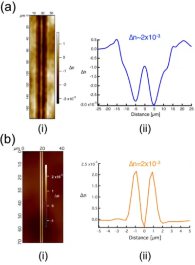 Fig. 3. Top view phase image of (a.i) type I waveguide, (b.i) type A waveguide. Refractive index profile of (a.ii) type I waveguide exhibiting one single positive ∆ n peak of 2 × 10 − 3 , (b.ii) Type A waveguide exhibiting two positive ∆ n peaks of 2.3 × 1