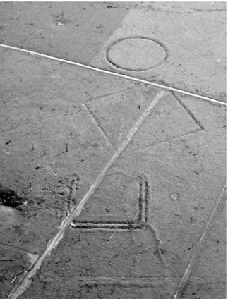 Fig. 3. Géoglyphe à fossés géométriques du site de Fazenda Colorada, État d’Acre, Brésil.