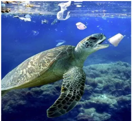 Figure 2. Ingestion du plastique par une tortue marine. Source : Google image 2018 