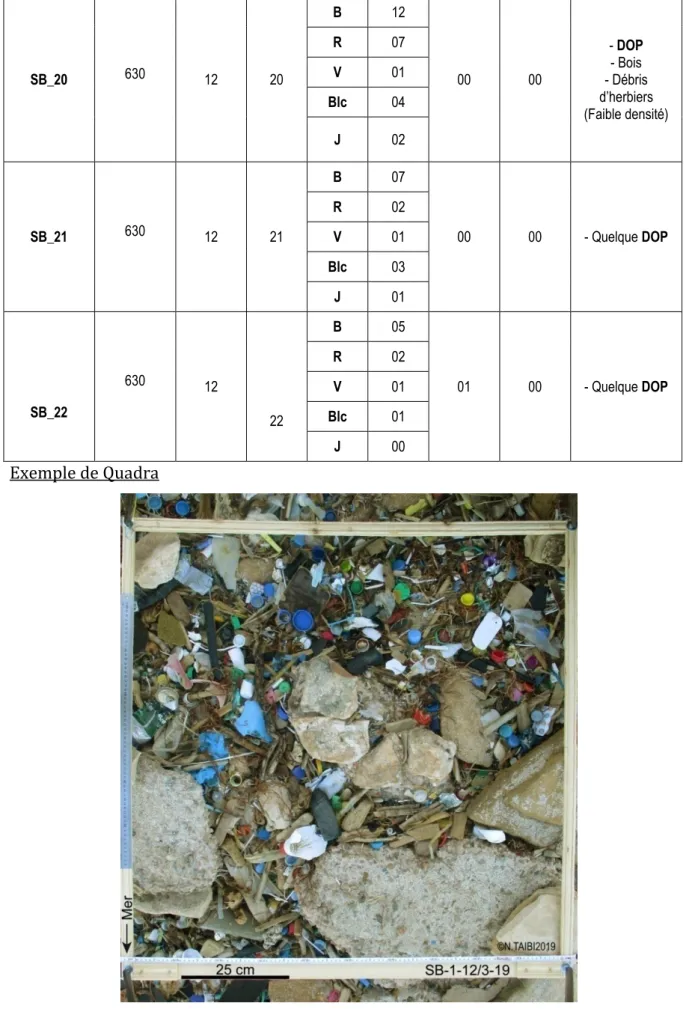 Figure 11. Quadra numéro « 1 » de la crique près des Sablettes 