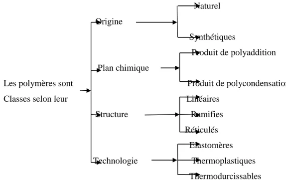 Figure I.1 : principales classes des polymères [9] 