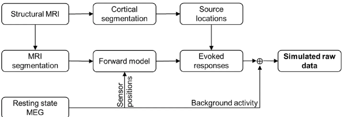 Fig. 2. Simulating MEG data (detailed workflow in Suppl. Fig. 1). 