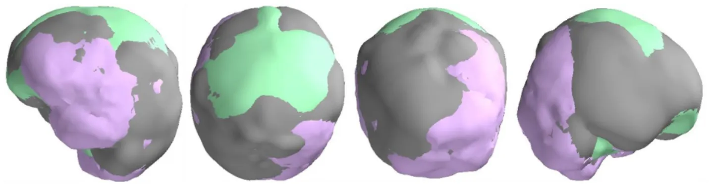 Fig. 4: Correspondence between the head models used by MNE-Python (grey), FieldTrip (lavender)  and SPM12 (mint)