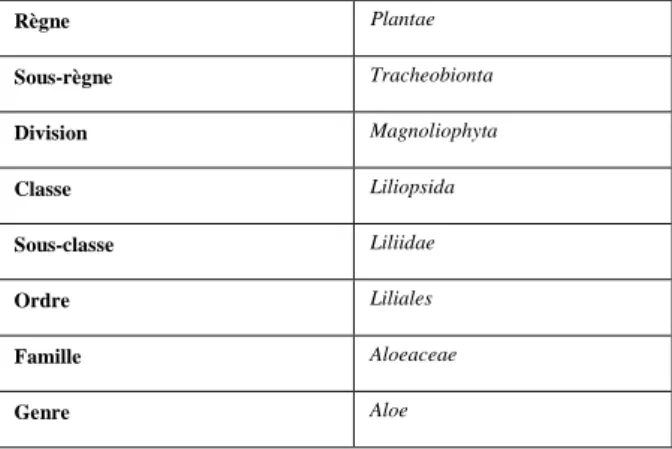 Tableau 1 : Classification de l’aloe vera (cronquist,1981) 