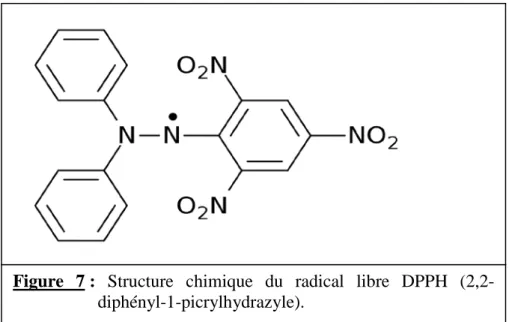 Figure 7 :  Structure chimique du radical libre DPPH (2,2- (2,2-diphényl-1-picrylhydrazyle)