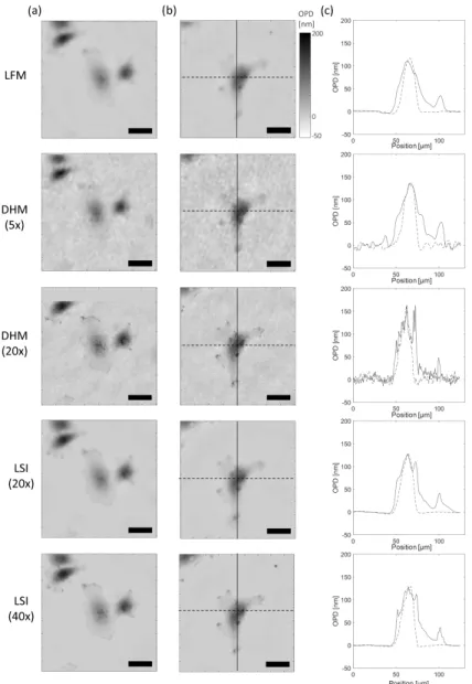 Fig. 2. (a, b) OPD maps of the same fixed COS-7 cells obtained with the different techniques.