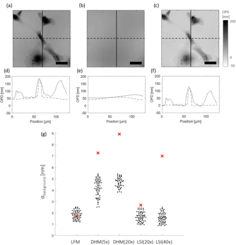 Fig. 3. Subtraction of the baseline image. (a) OPD raw map of a COS-7 cell (fixed) obtained by LSI(40×)