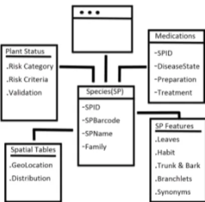 Fig. 3: Overview of the BioKET Datawarehouse Entity-Relationship Model