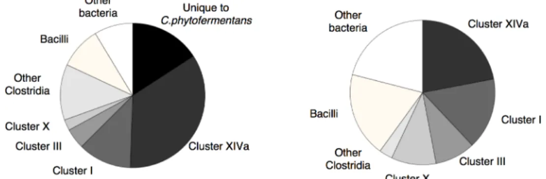 Fig 4. Comparison of the distribution of the closest relatives of all C . phytofermentans open reading frames among sequenced bacterial genomes (left) to that of closest relatives of its glycoside hydrolases (right).