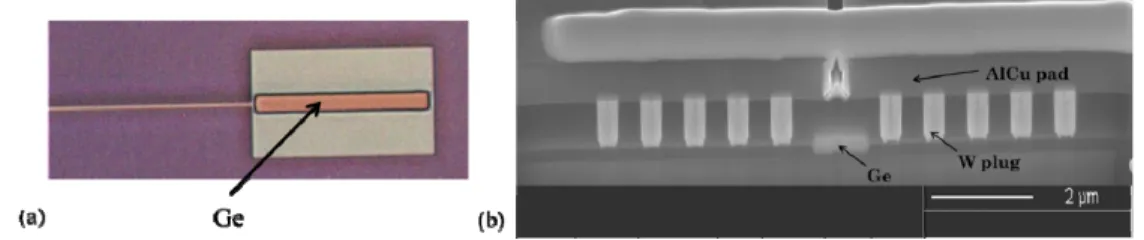 Fig. 3. (a) Top-view of a fabricated 1 µm wide Ge cavity after CMP. (b) Cross-sectional SEM  image of a 1 µm wide Ge cavity photodiode